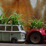 Photo by Sóc Năng Động via Pexels - 7 Ide Dekorasi Rumah Estetik Pakai Tanaman Hias agar Segar