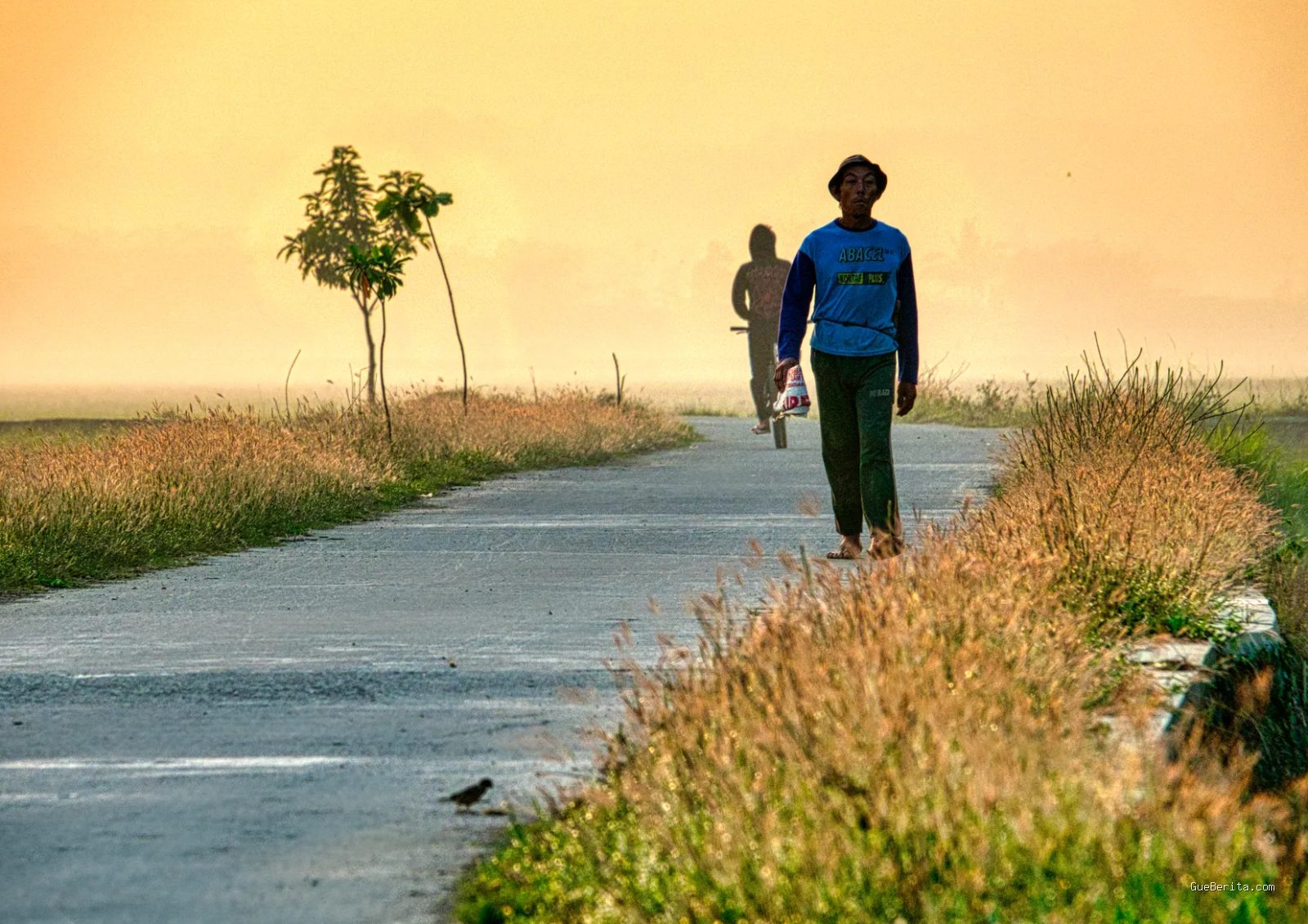 Photo by Tom Fisk via Pexels - Jalan Pagi: Rahasia Ampuh Menjaga Kesehatan Mental Anda