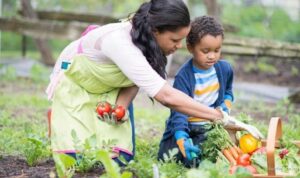Photo via Bing Images - Manfaat Berkebun untuk Meningkatkan Kesehatan Fisik dan Mental