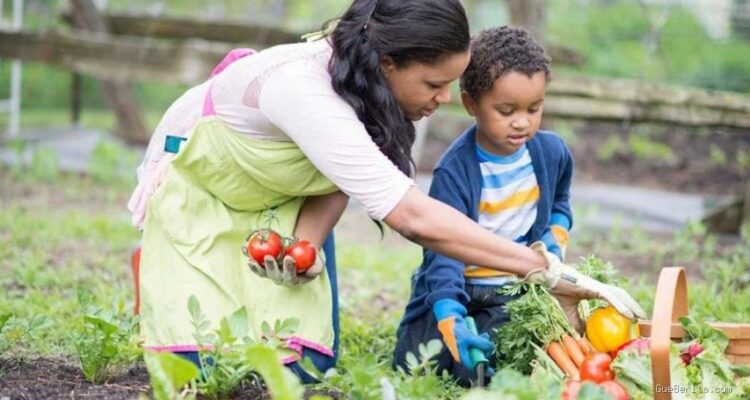 Photo via Bing Images - Manfaat Berkebun untuk Meningkatkan Kesehatan Fisik dan Mental