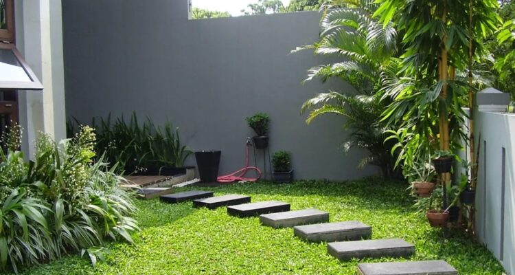Photo by homify.co.id - 10 Inspirasi Desain Taman Kecil untuk Halaman Rumah Minimalis