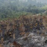 Helikopter Jepang Dikerahkan Percepat Pemadaman Karhutla Kalbar
