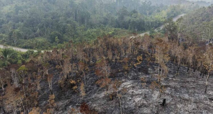 Helikopter Jepang Dikerahkan Percepat Pemadaman Karhutla Kalbar