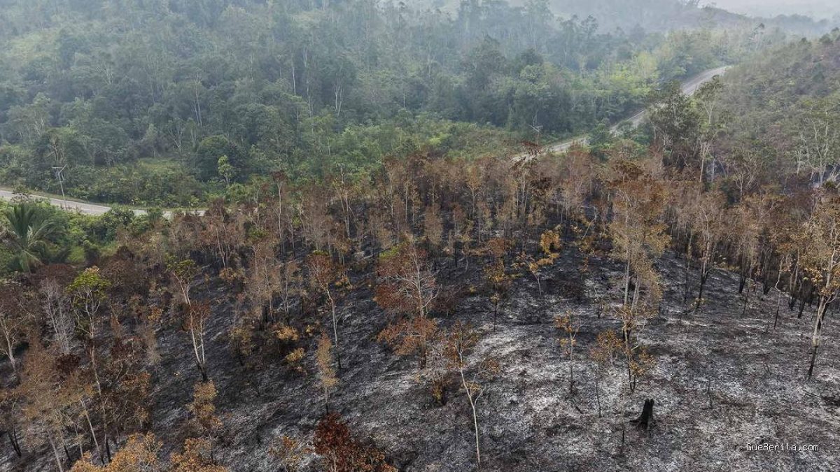 Helikopter Jepang Dikerahkan Percepat Pemadaman Karhutla Kalbar