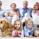 Photo by istockphoto.com - Panduan Memilih Hewan Peliharaan yang Tepat untuk Keluarga