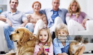 Photo by istockphoto.com - Panduan Memilih Hewan Peliharaan yang Tepat untuk Keluarga