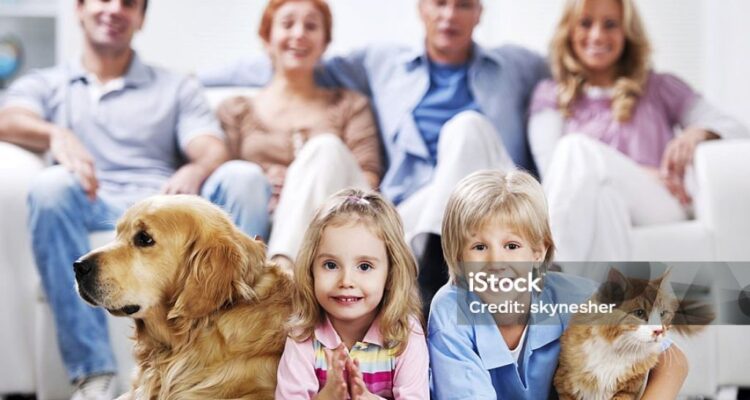Photo by istockphoto.com - Panduan Memilih Hewan Peliharaan yang Tepat untuk Keluarga