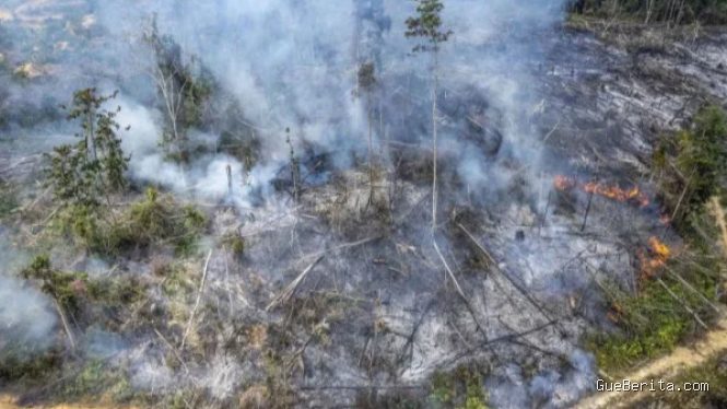 Sanksi Karhutla: Menhut Raja Juli Bekukan Izin 26 Perusahaan