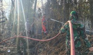 Seskab Teddy: 64 Pesawat dan 54.394 Personel Dikerahkan Atasi Karhutla