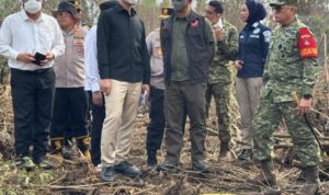 Tinjau Penanganan Kebakaran Hutan di 3 Provinsi Kalimantan, Gibran Cek Titik Api