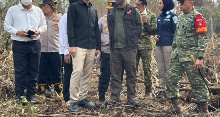 Tinjau Penanganan Kebakaran Hutan di 3 Provinsi Kalimantan, Gibran Cek Titik Api