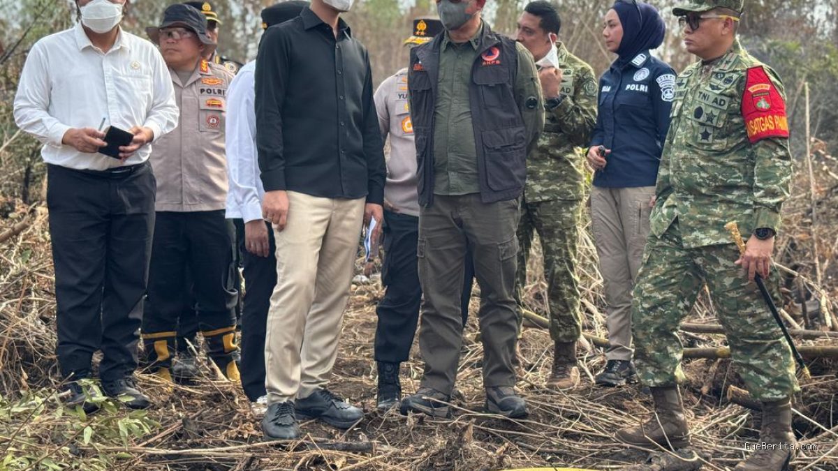 Tinjau Penanganan Kebakaran Hutan di 3 Provinsi Kalimantan, Gibran Cek Titik Api