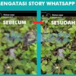 Photo by wargabogor.com - Penyebab Video WhatsApp Jadi Buram dan Cara Mengatasinya