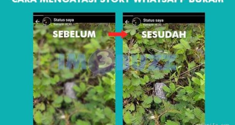 Photo by wargabogor.com - Penyebab Video WhatsApp Jadi Buram dan Cara Mengatasinya