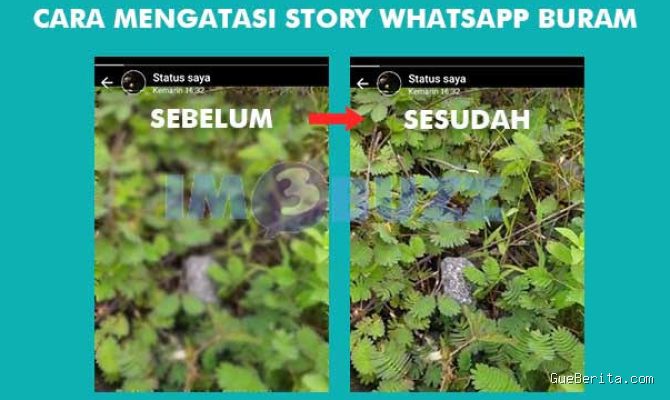 Photo by wargabogor.com - Penyebab Video WhatsApp Jadi Buram dan Cara Mengatasinya